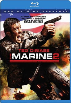 The Marine 2