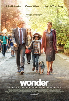 Wonder