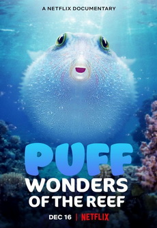 Puff Wonders of the Reef