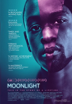 Moonlight