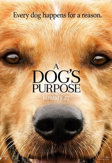 A Dog's Purpose 