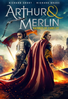 Arthur & Merlin Knights of Camelot
