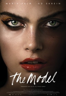  The Model 