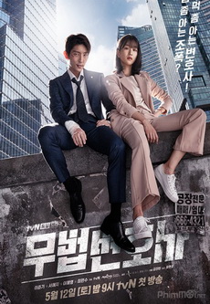 Lawless Lawyer